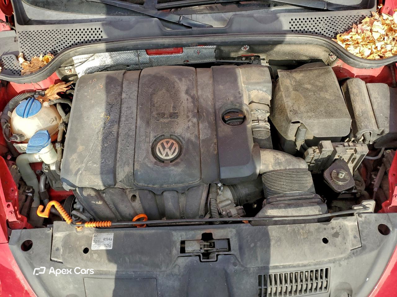 Volkswagen Beetle 2012