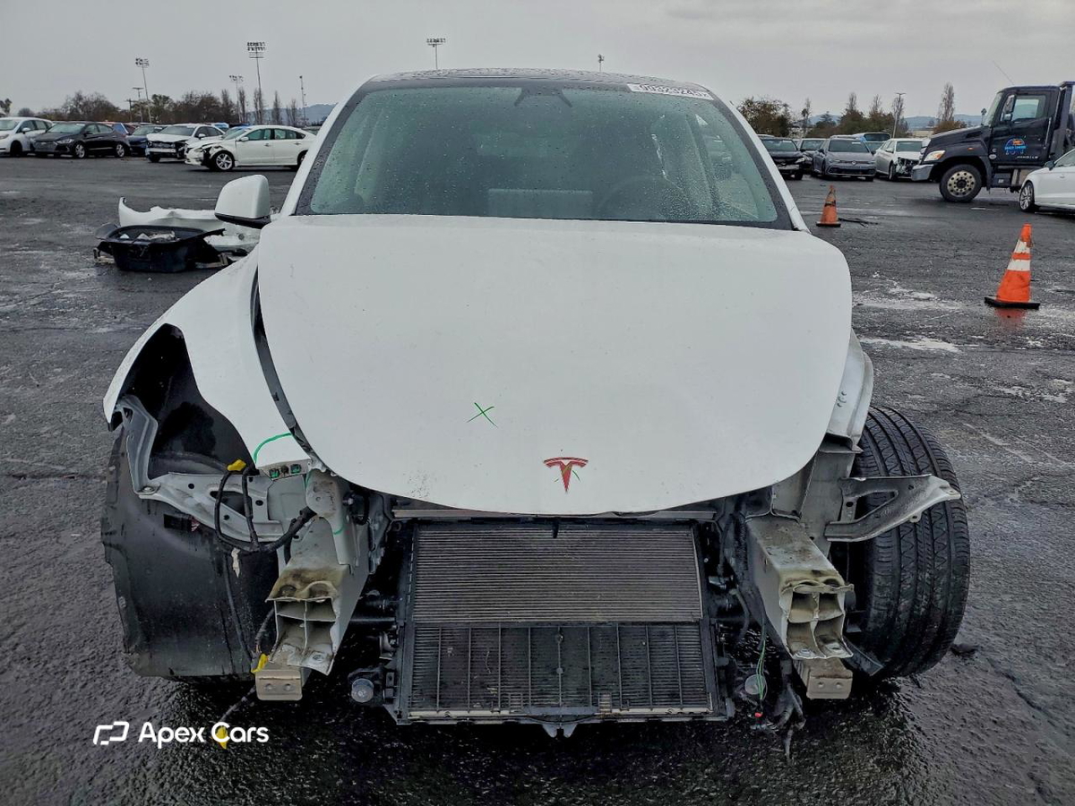 Tesla Model Y 2020