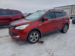 Ford Escape 2014