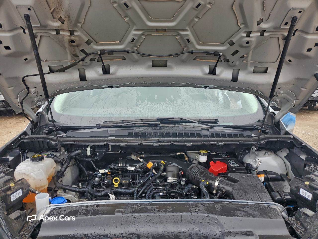 Ford Edge 2024
