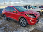 Ford Escape 2021