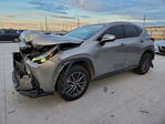 Lexus NX 2022