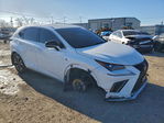Lexus NX 2020