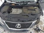 Lexus RX 2010