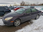 Lexus ES 2005