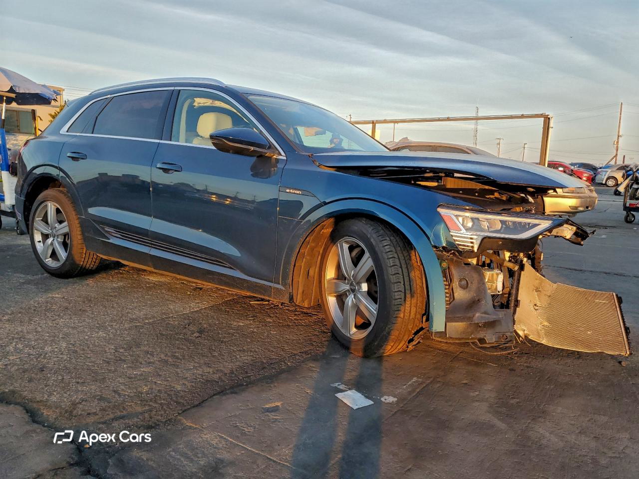 Audi e-tron 2019