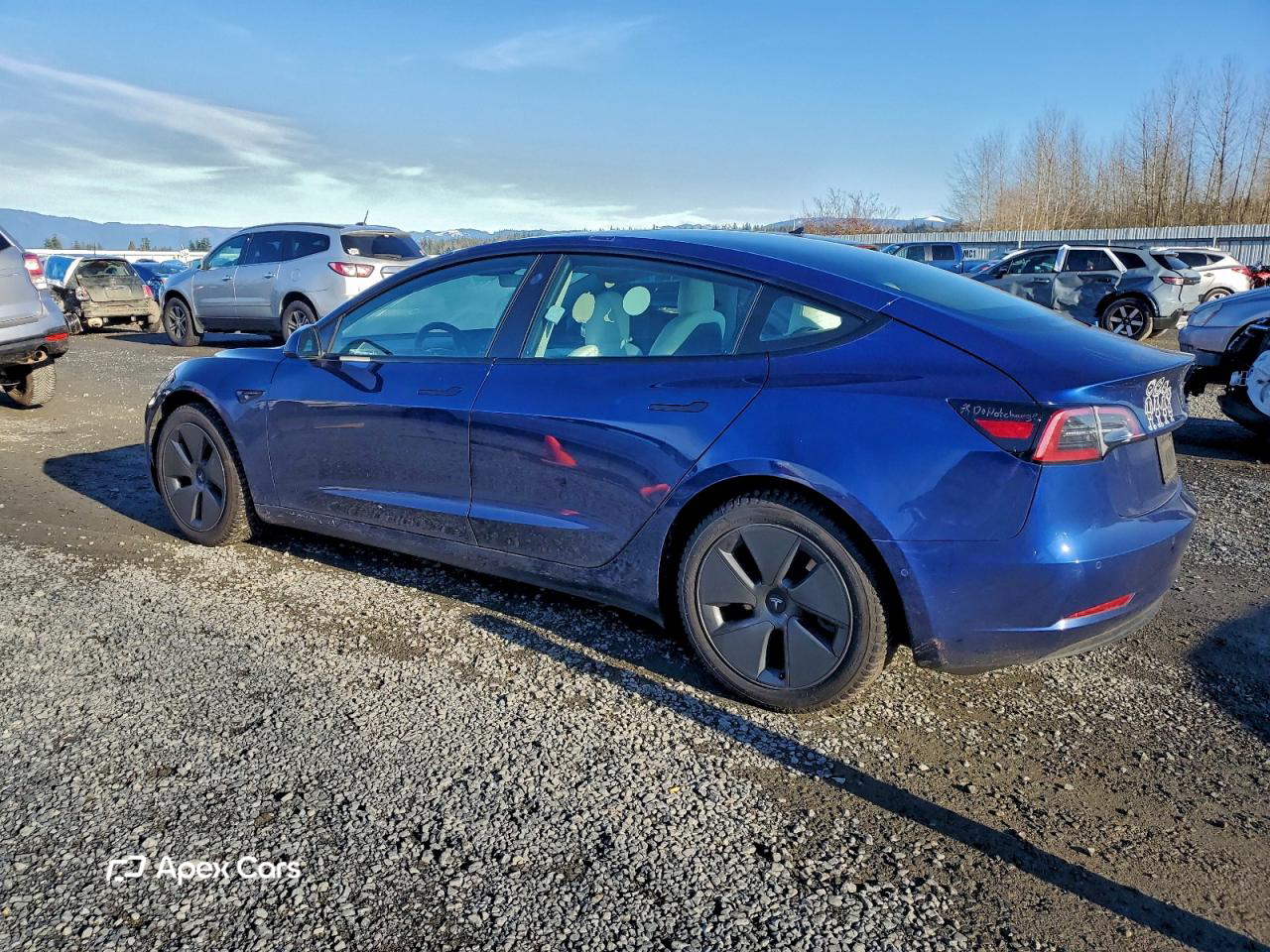 Tesla Model 3 2022