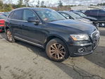 Audi Q5 2013