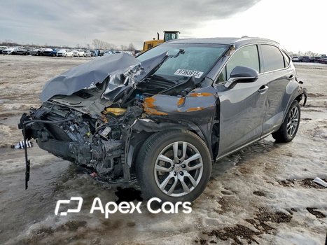 Lexus NX 2016 - Zdjęcie 1 z 13
