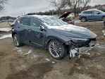 Lexus NX 2024
