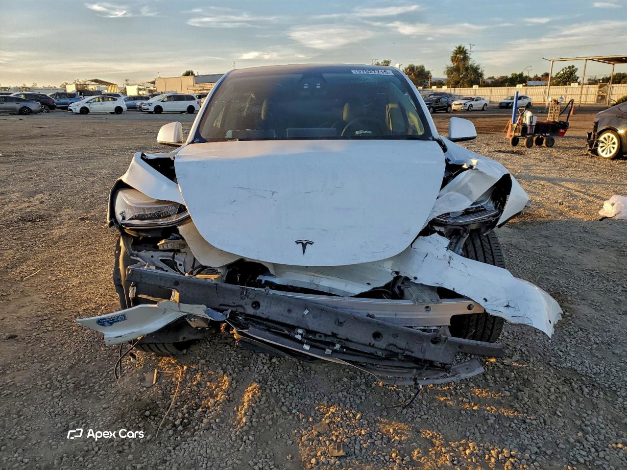 Tesla Model Y 2021