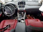 Lexus NX 2021