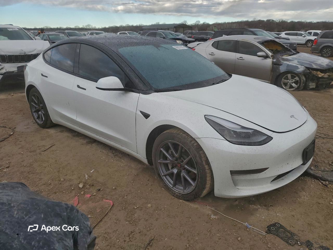 Tesla Model 3 2021