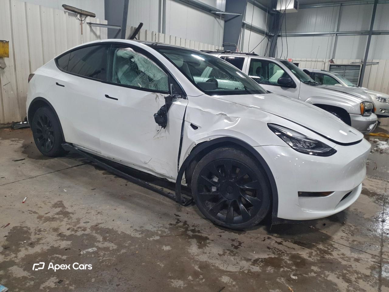 Tesla Model Y 2021