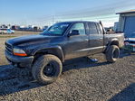Dodge Dakota 2001