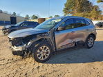 Ford Escape 2024