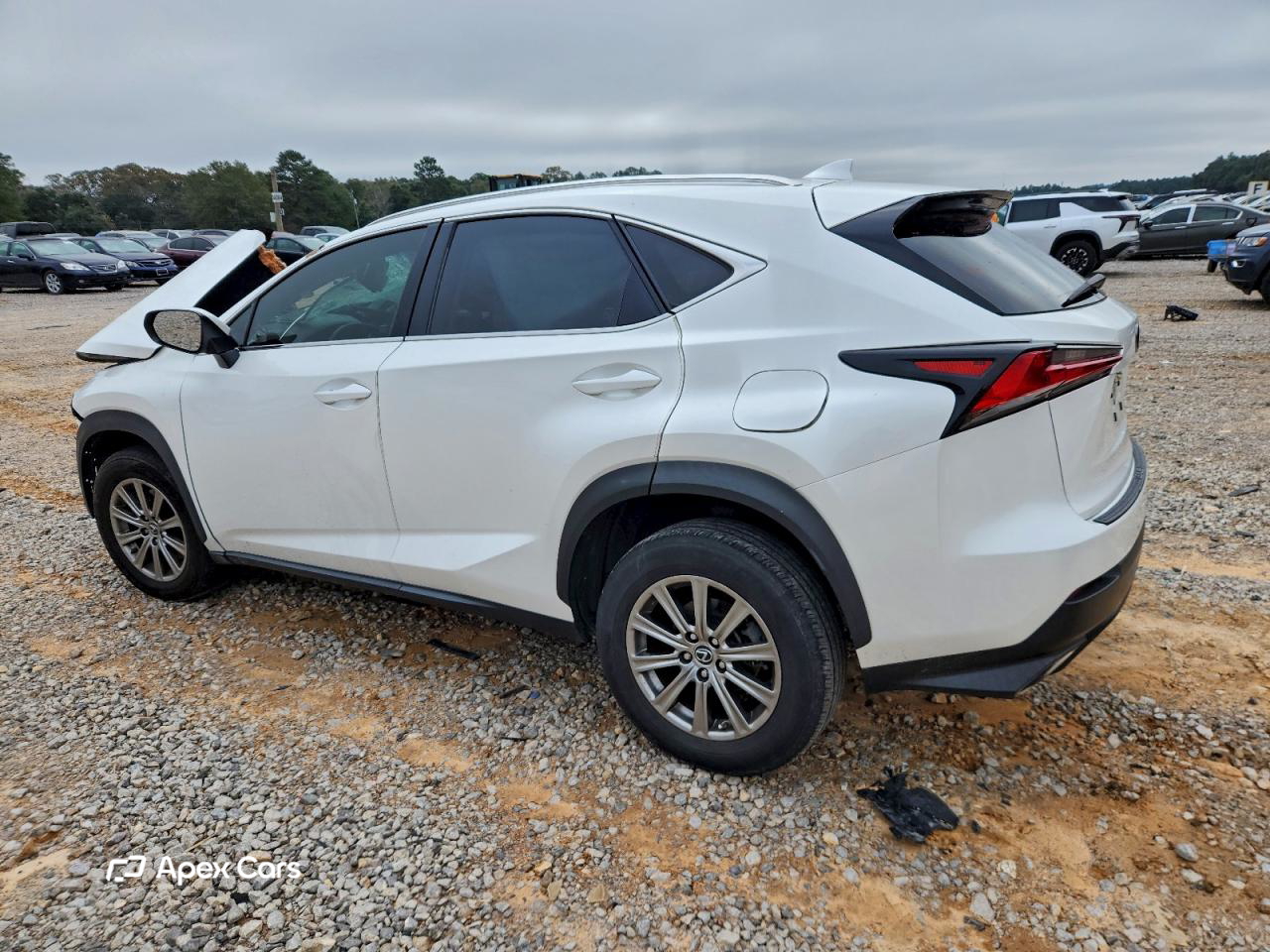 Lexus NX 2019