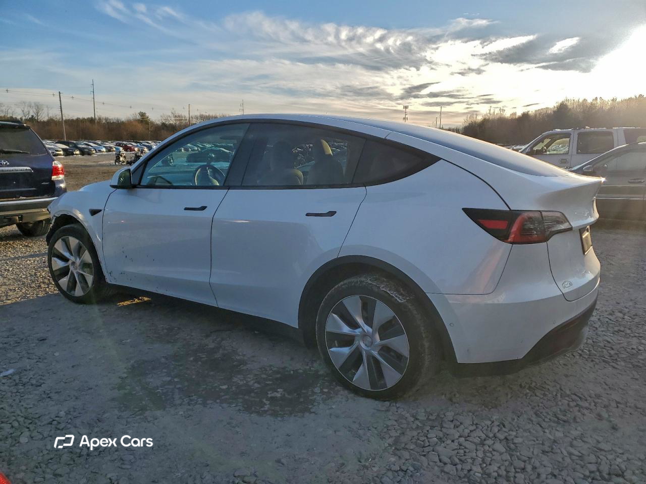 Tesla Model Y 2021
