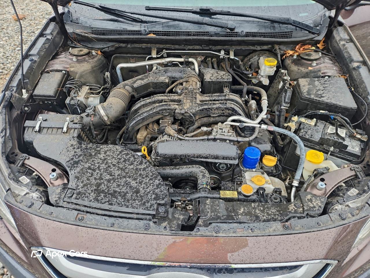 Subaru Outback 2021