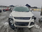 Ford Escape 2016