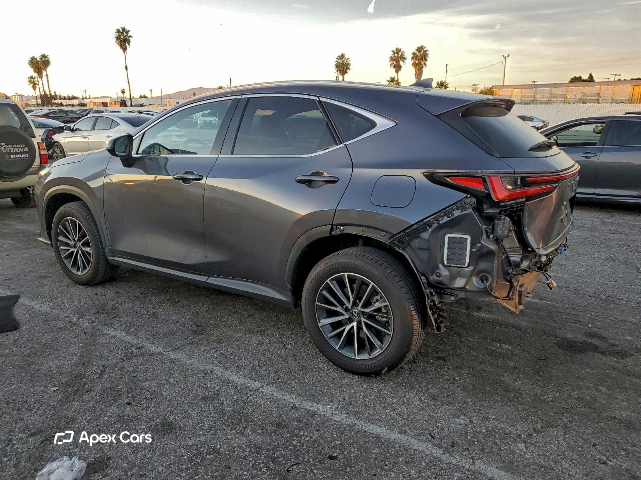 Lexus NX 2024