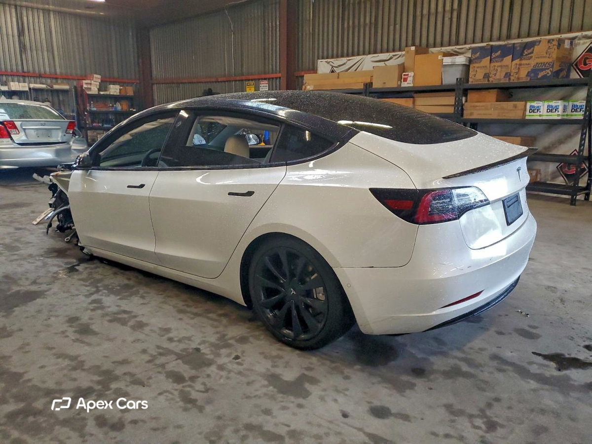 Tesla Model 3 2019
