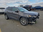 Jeep Cherokee 2019
