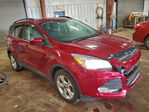 Ford Escape 2014