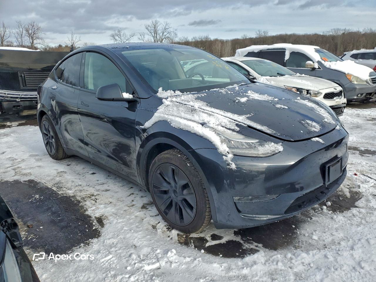 Tesla Model Y 2025