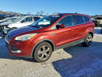 Ford Escape 2014