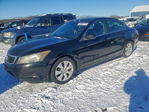 Honda Accord 2010