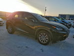 Lexus NX 2021