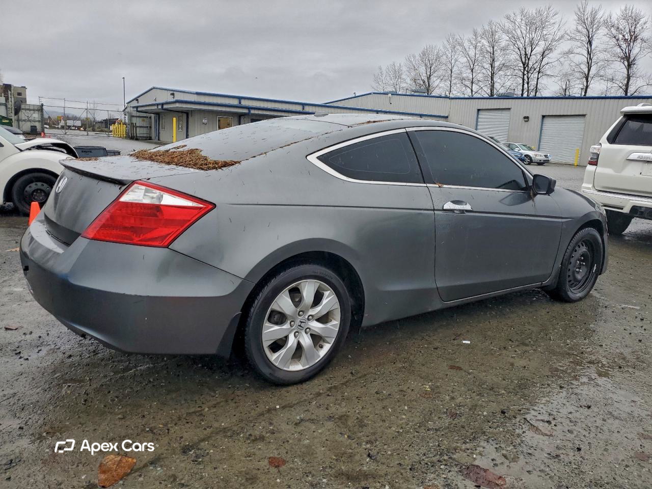 Honda Accord 2010