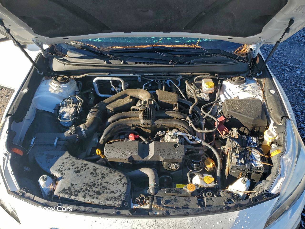 Subaru Outback 2017