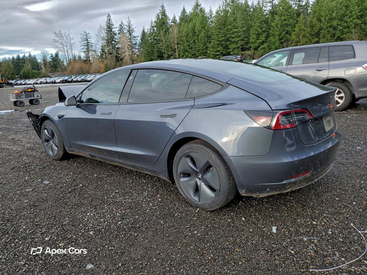 Tesla Model 3 2020