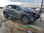 Lexus NX 2016