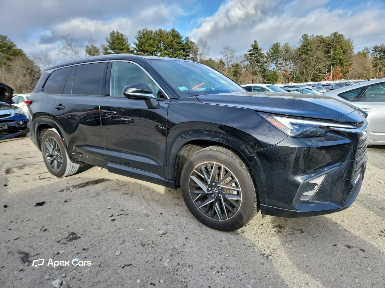 Lexus TX 2024