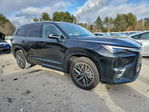 Lexus TX 2024