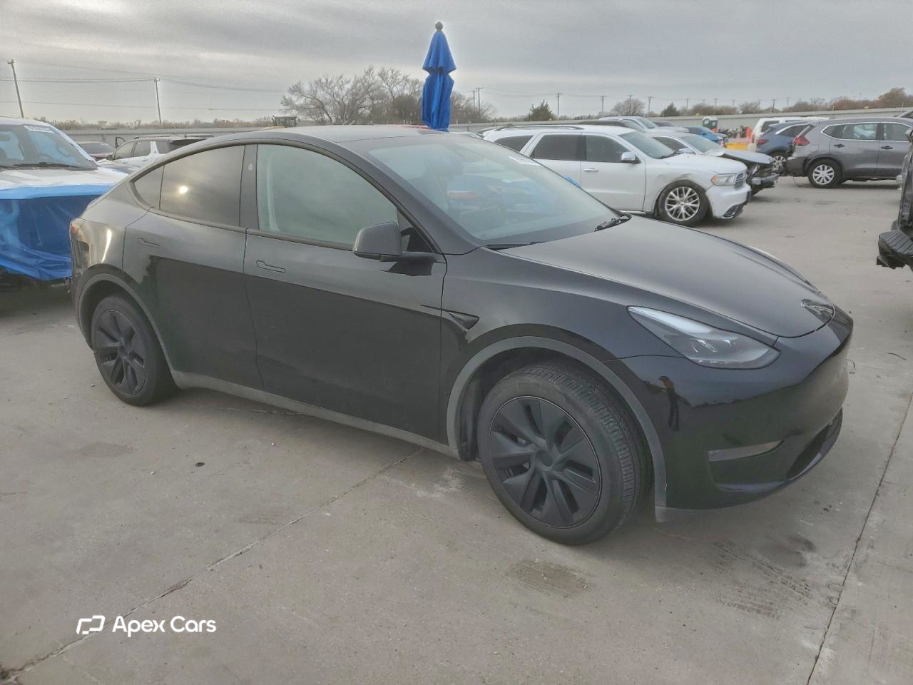 Tesla Model Y 2024