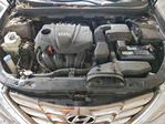 Hyundai Sonata 2013