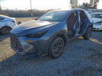 Lexus NX 2026