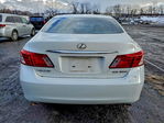 Lexus ES 2008