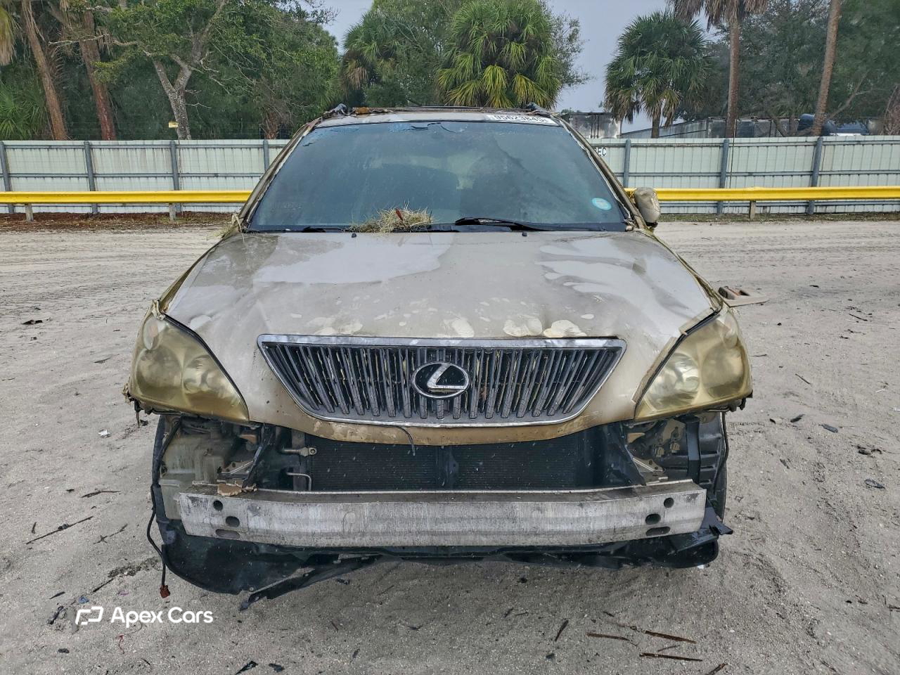 Lexus RX 2006