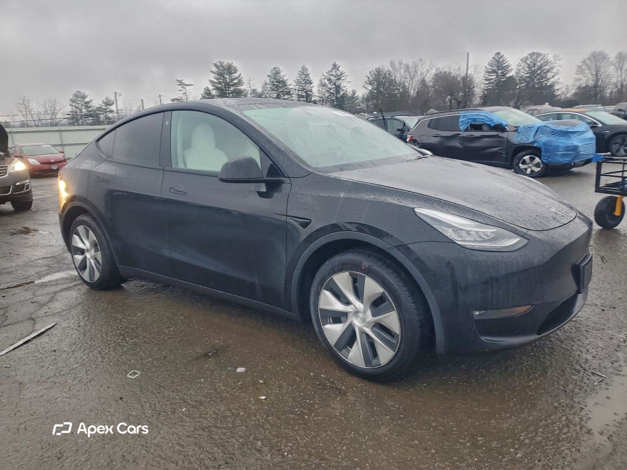 Tesla Model Y 2021