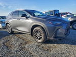 Lexus NX 2026