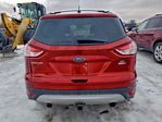 Ford Escape 2014
