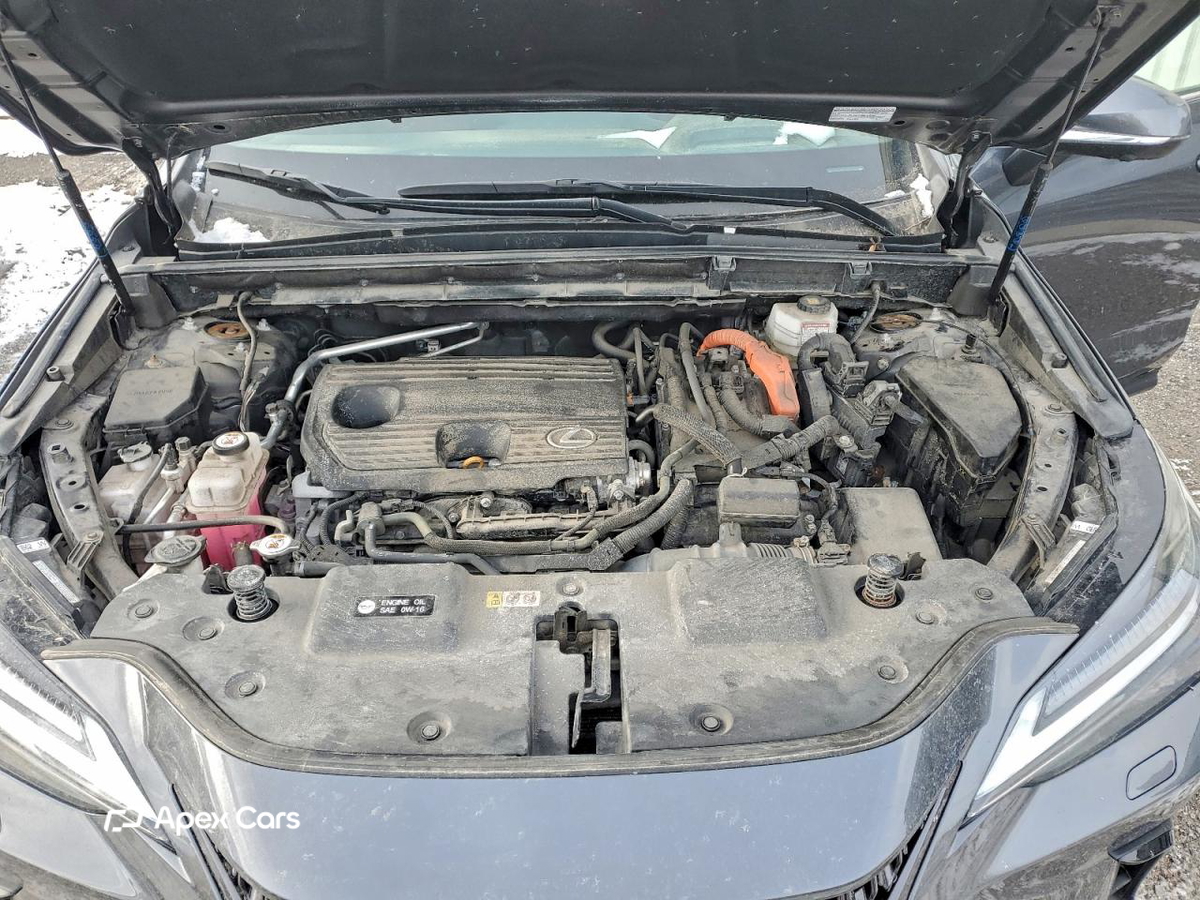 Lexus NX 2022