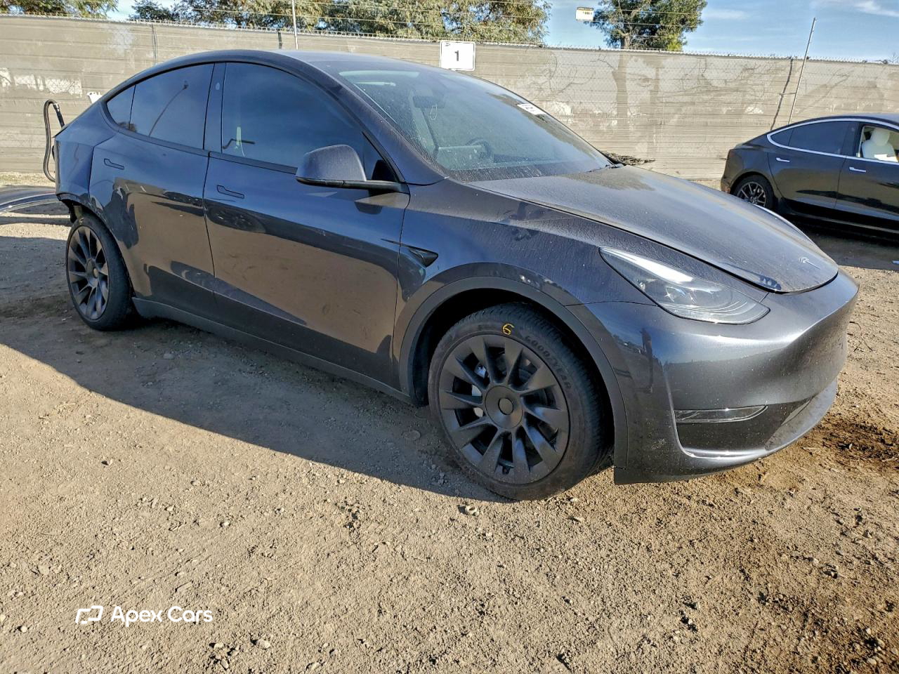 Tesla Model Y 2024