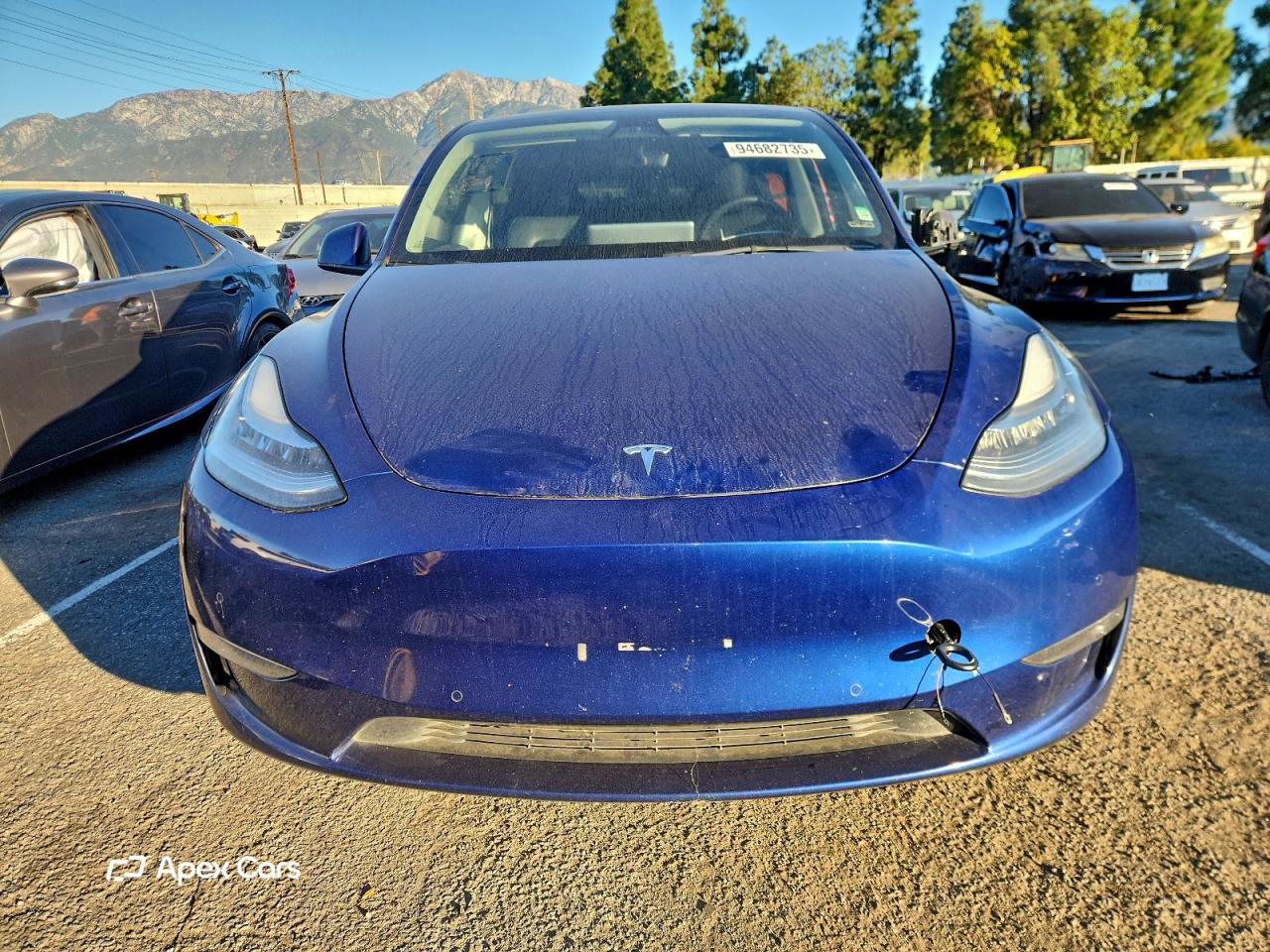 Tesla Model Y 2021
