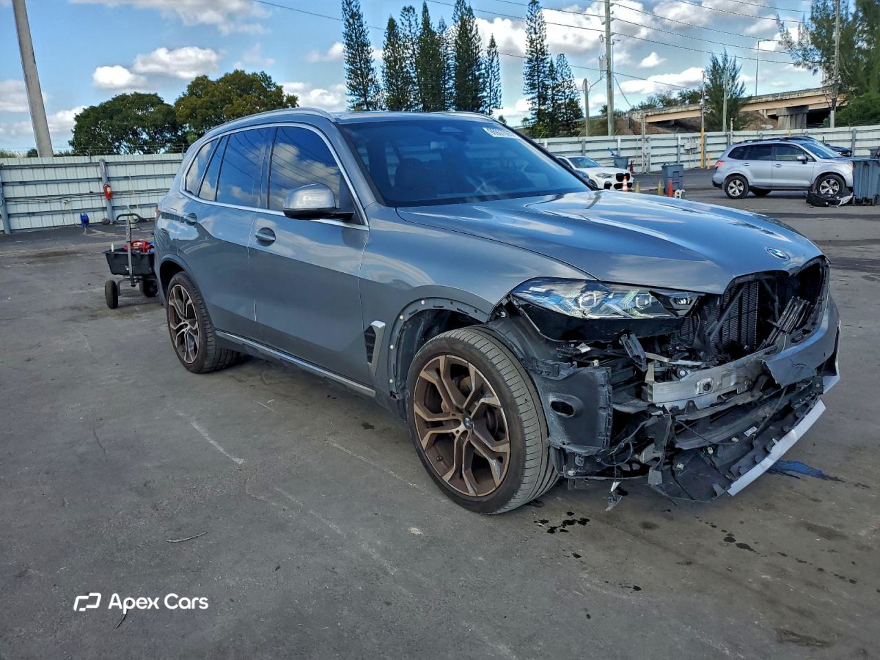 BMW X5 2024